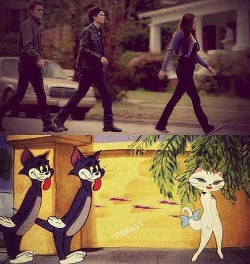  - TVD