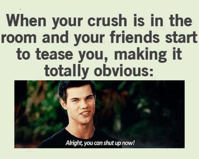  - TVD