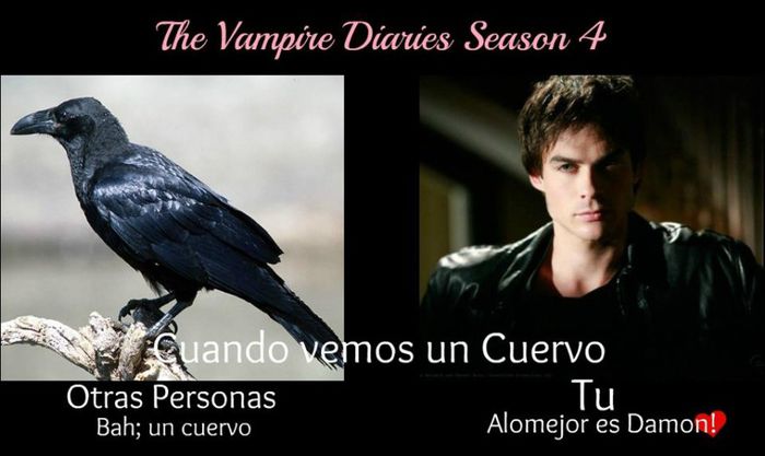  - TVD