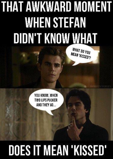  - TVD