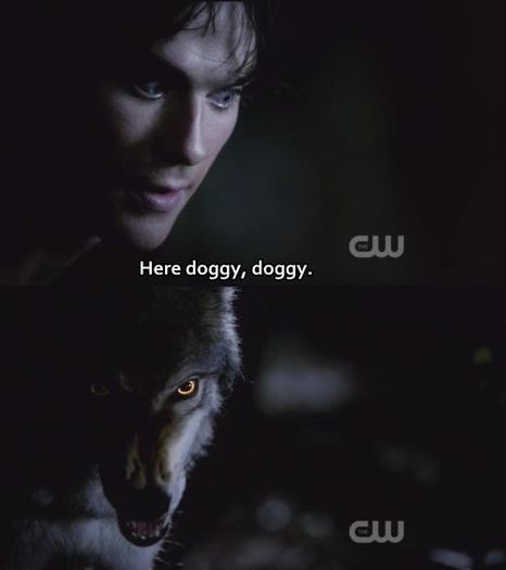  - TVD