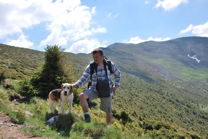 DSC_0102 - CATELUL MEU OSZKAR PE MUNTE