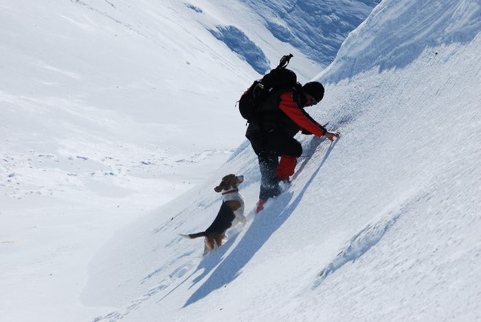 DSC_0240 - CATELUL MEU OSZKAR PE MUNTE