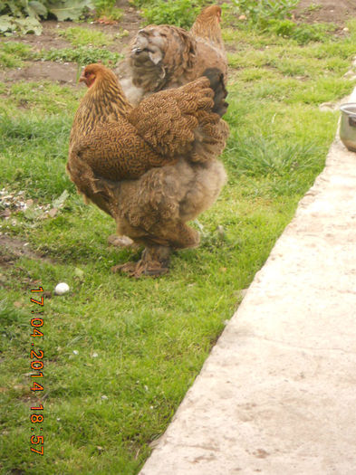 http:mariusvinga.sunphoto.ro