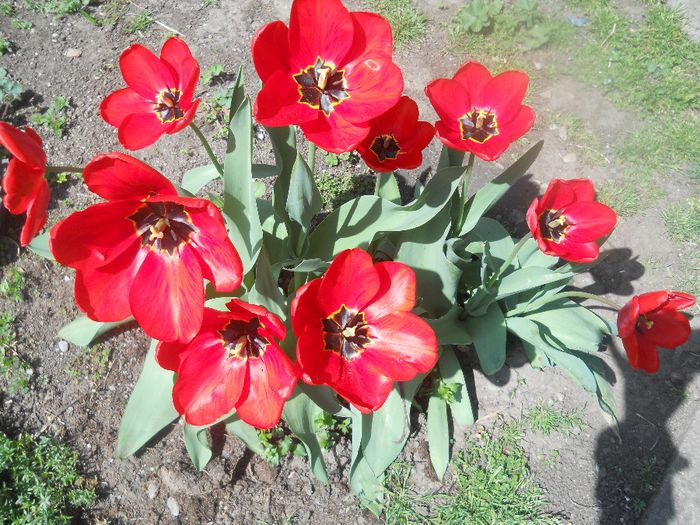 DSCN5798