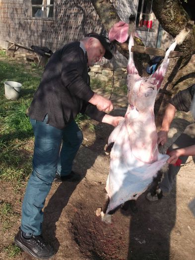 MACELAR LA CURTEA LUI ARTUR