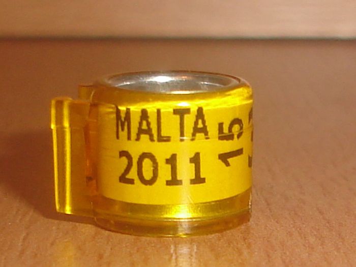 Malta 2011