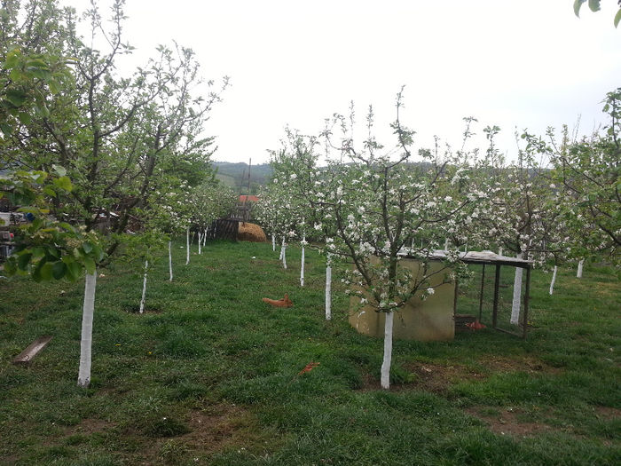 20140418_132649