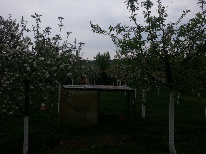 20140418_132656