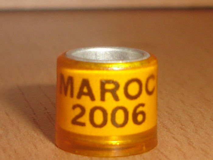 MAROC 2006