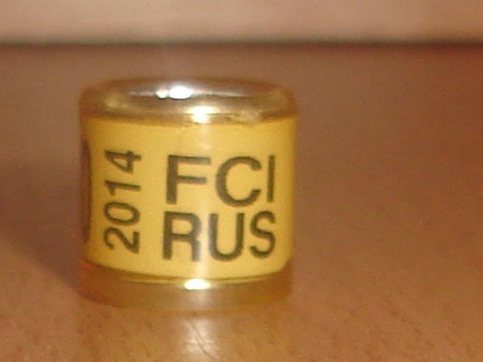 Rus 2014 FCI - RUSIA