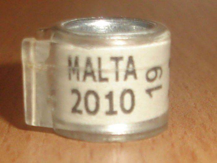 Malta 2010