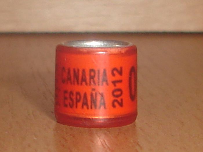 ESP 2012 CANARIA F.C.C. - SPANIA CANARIA