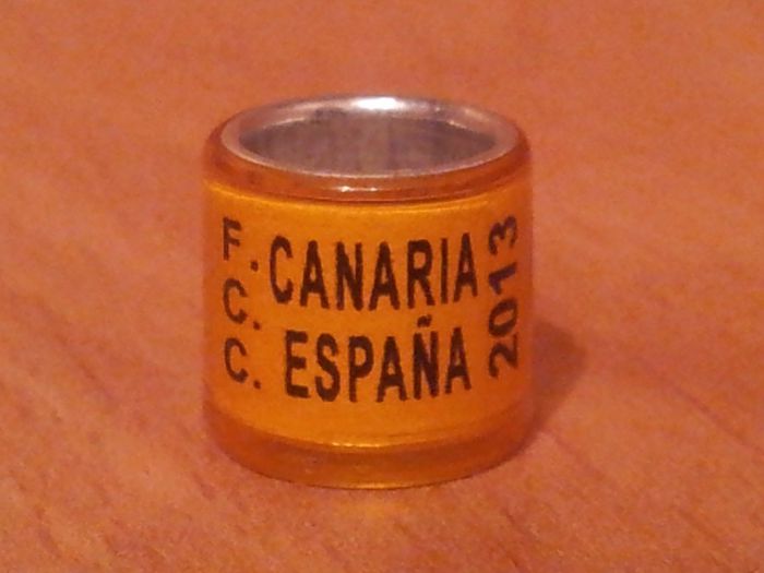 ESP 2013 CANARIA F.C.C. - SPANIA CANARIA