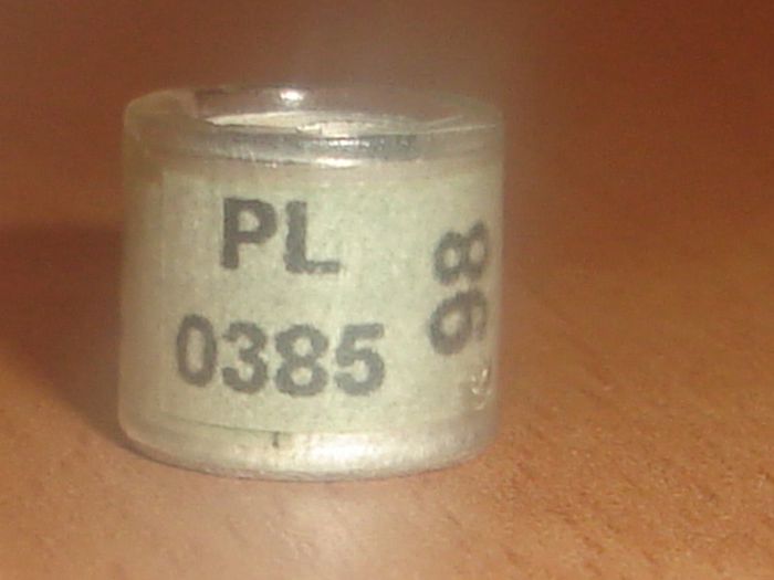 PL 1998