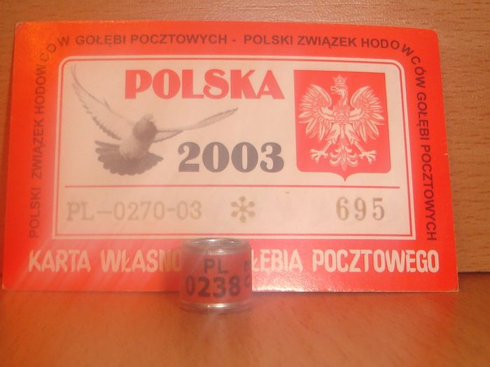 PL 2003