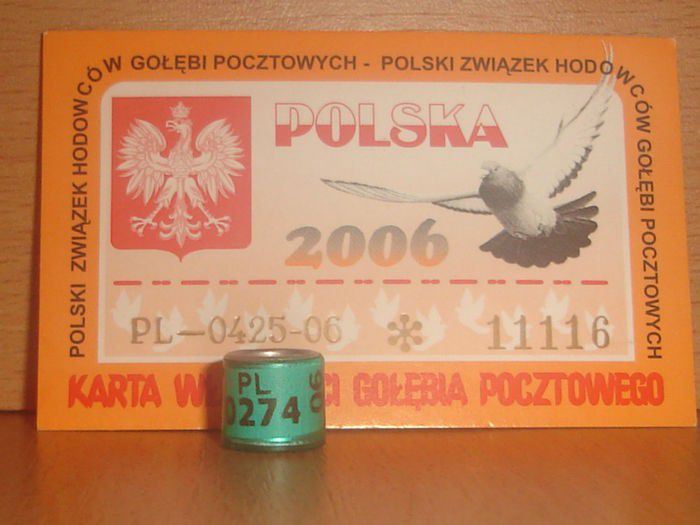 PL 2006 - POLONIA