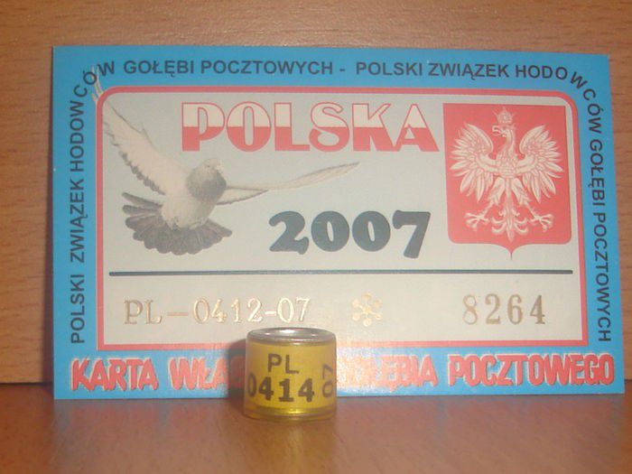 PL 2007 - POLONIA