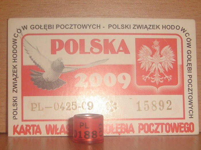 PL 2009 - POLONIA