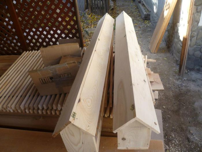 31551_500757753279593_123697341_n - model adaposturi boxe odihnitori        gratare sputnik