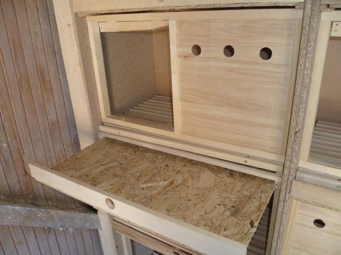 165967_540778915944143_1118589935_n