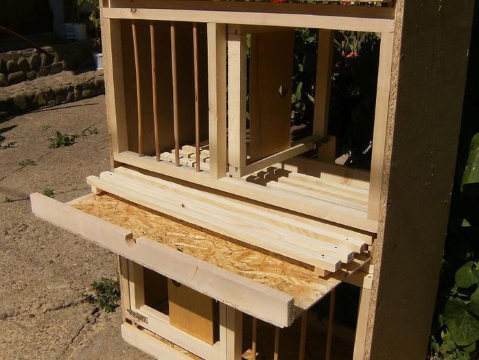 293880_474312665924102_110935318_n