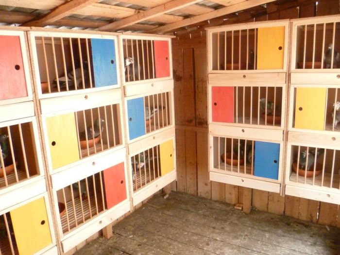 1010331_598212703534097_1223694674_n - model adaposturi boxe odihnitori        gratare sputnik