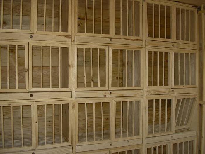 1782099_697996273555739_39098380_n - model adaposturi boxe odihnitori        gratare sputnik