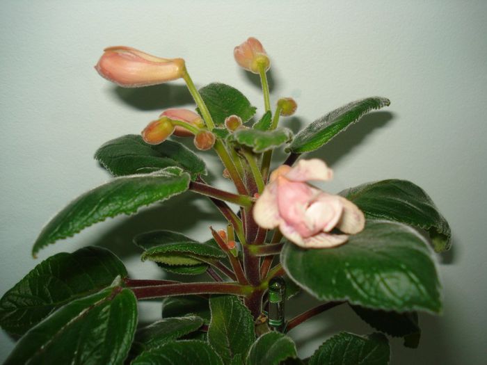 DSC07842