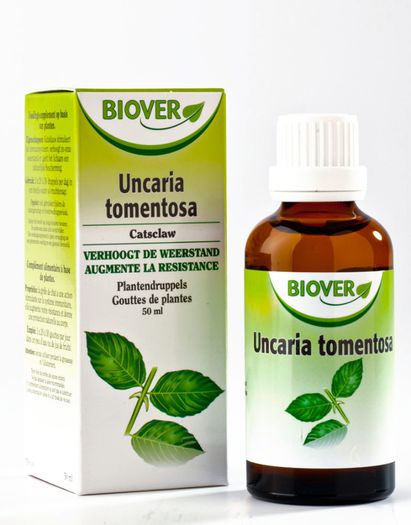 Uncaria tomentosa - 2-de vanzare 2019-2020-SEMINTE IERBURI FOLOSITOARE SI PLANTE MEDICINALE RARE