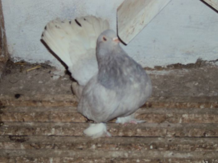DSC04969