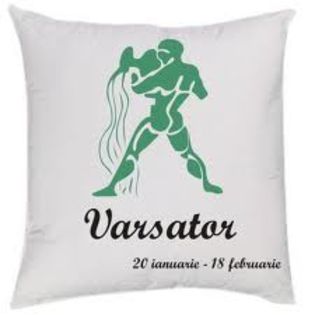 andreeabordeianu22 - varsator