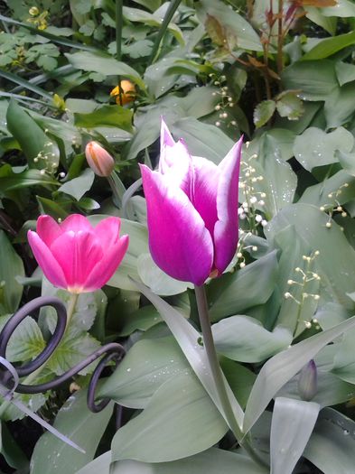 20140419_140754