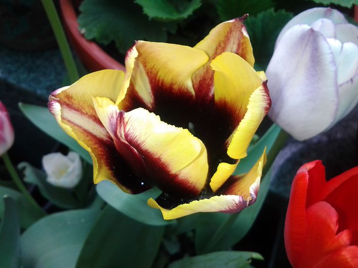 20140419_140705