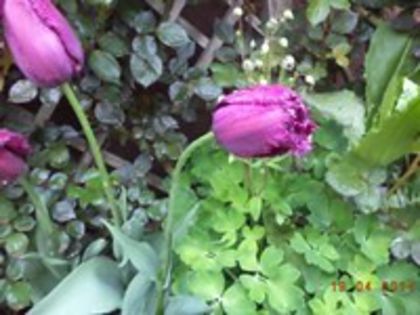 DSC02771