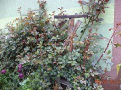 DSC02773