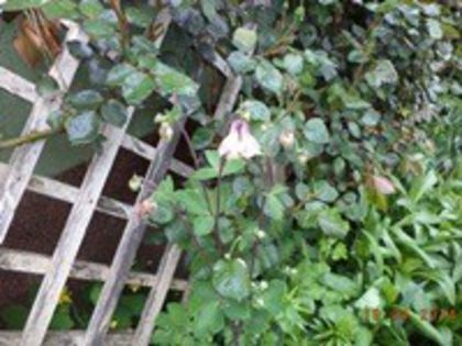 DSC02796