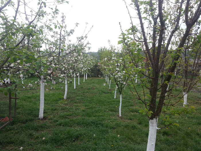 20140418_132703