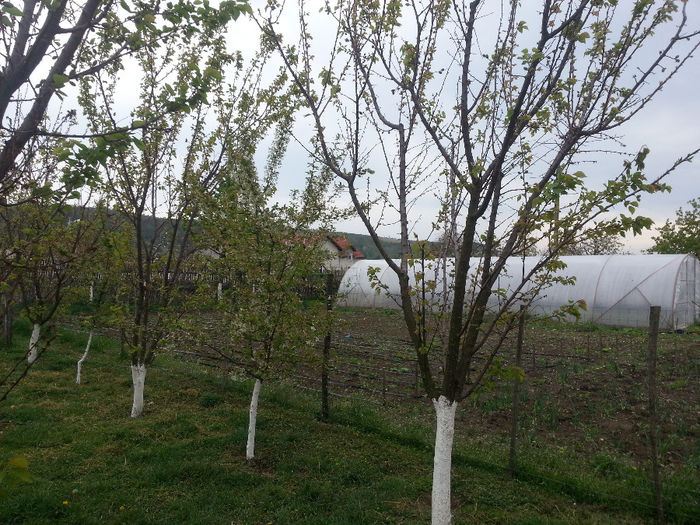 20140418_132710