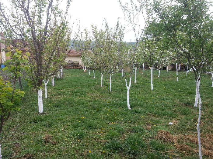 20140418_132818