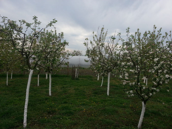 20140418_132836