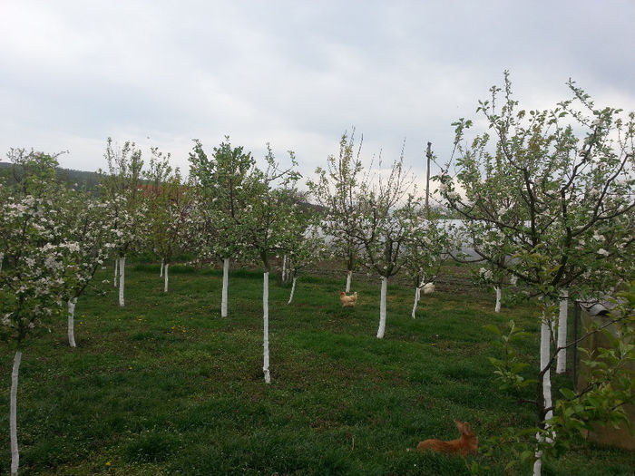 20140418_132848