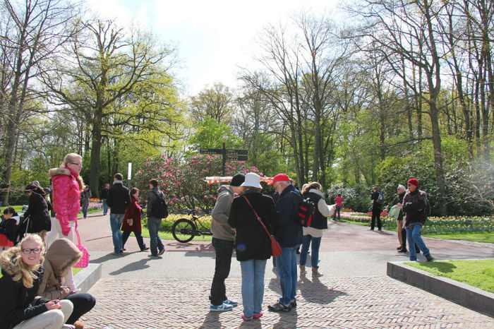 IMG_0003 - Keukenhof 2014