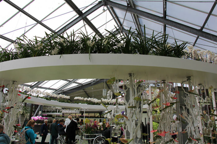 IMG_0071 - Keukenhof 2014