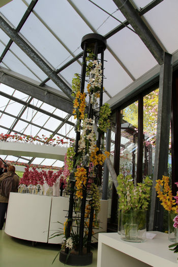 IMG_0074 - Keukenhof 2014