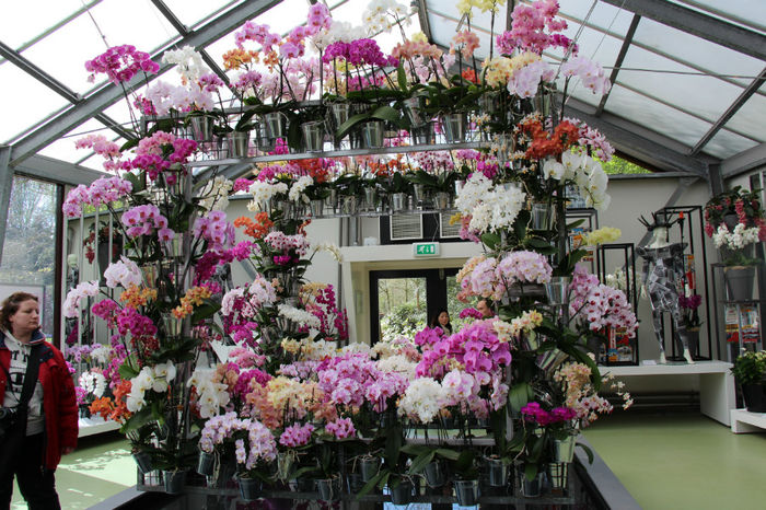 IMG_0130 - Keukenhof 2014