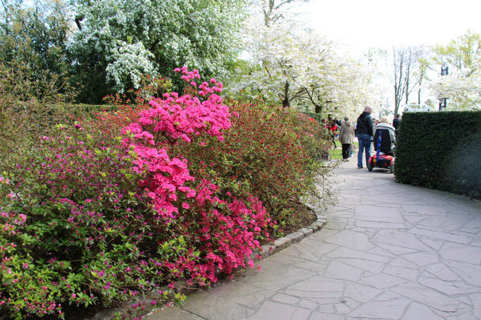 IMG_0215 - Keukenhof 2014