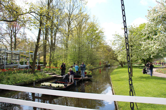 IMG_0222 - Keukenhof 2014