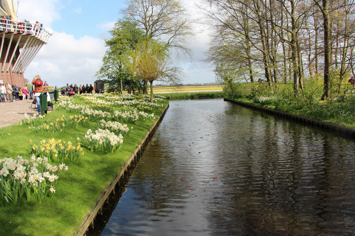 IMG_0223 - Keukenhof 2014