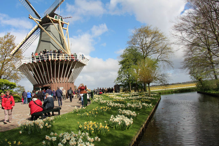 IMG_0224 - Keukenhof 2014